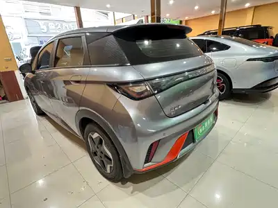 BYD Dolphin 2022