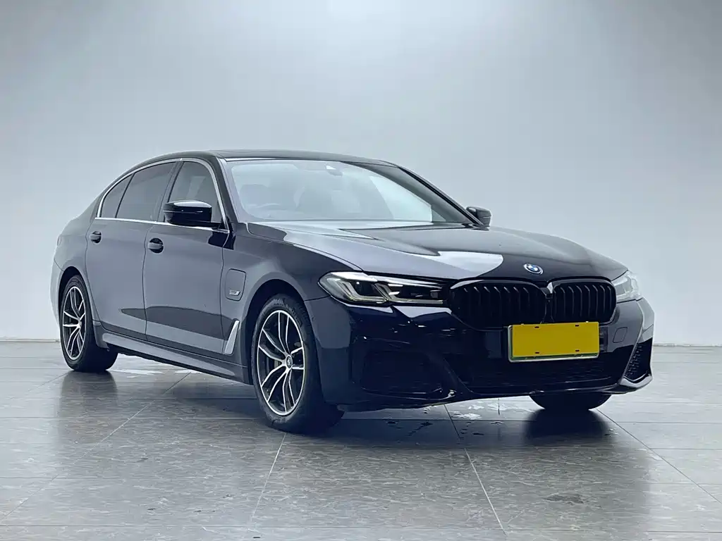BMW 5 Series New Energy 2022