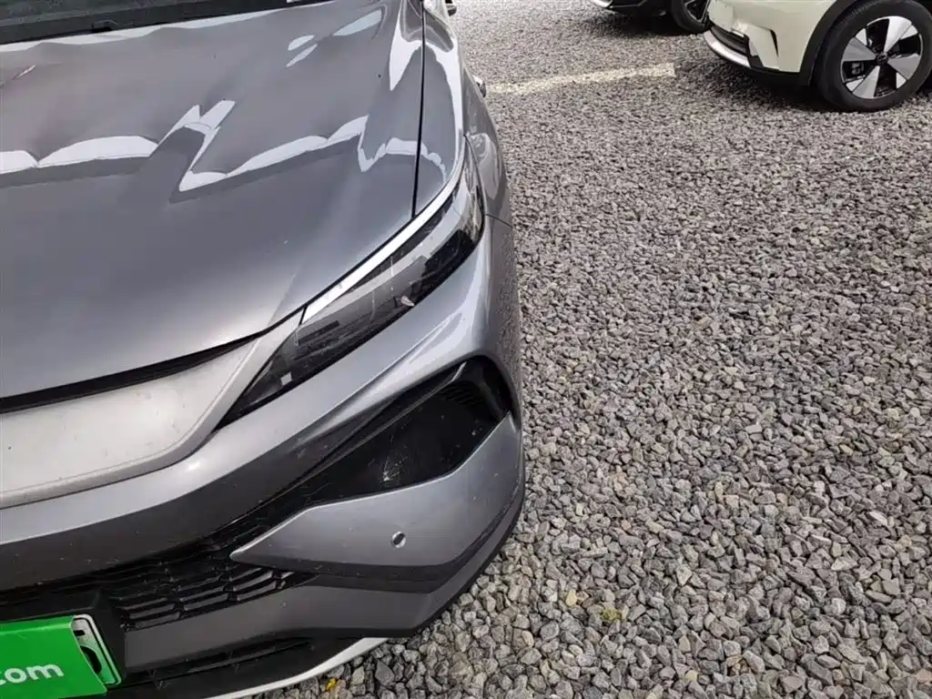BYD Pro New Energy 2025 — фото 24