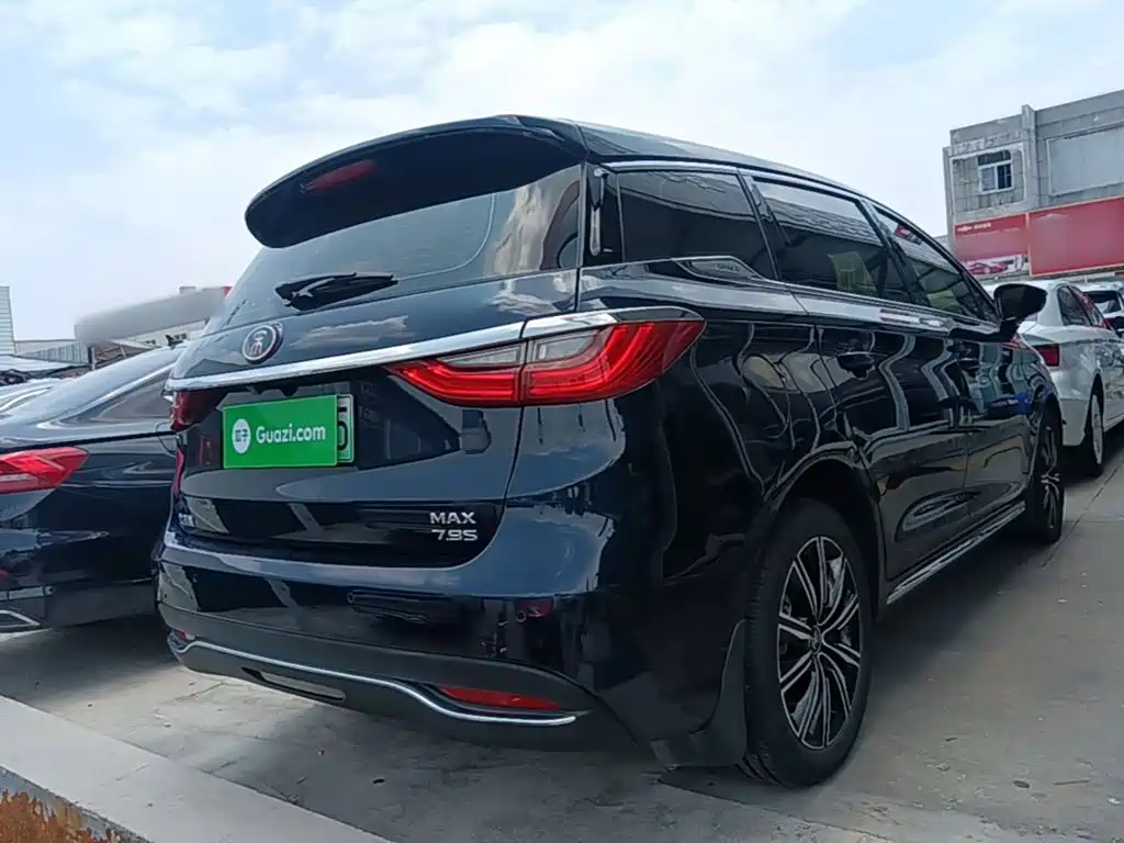 BYD MAX New Energy 2019