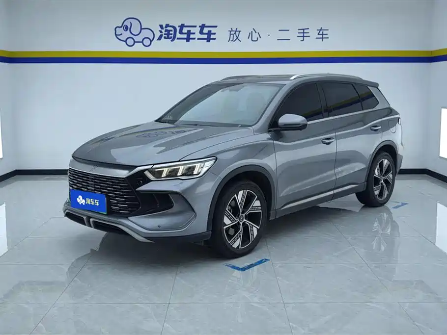BYD Pro New Energy 2024 — фото 1