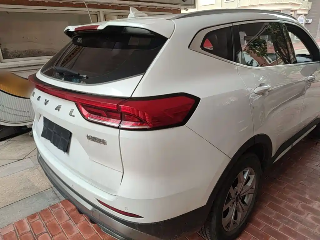 Haval H6 2021 — фото 8
