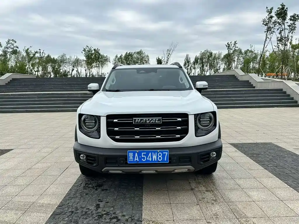 Haval Dargo 2021 — фото 1