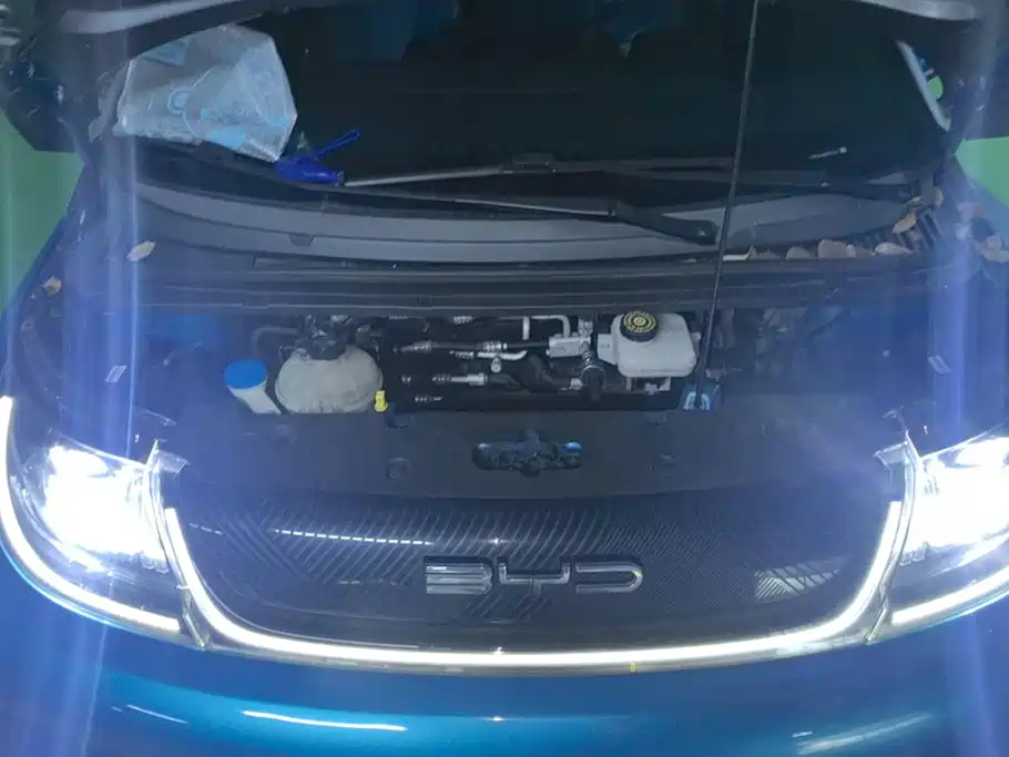BYD Dolphin 2022 — фото 10
