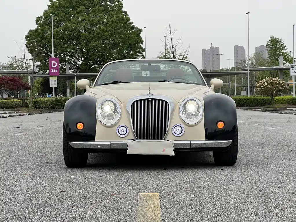Mitsuoka Queen 2013 — фото 2