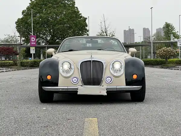 Mitsuoka Queen 2010