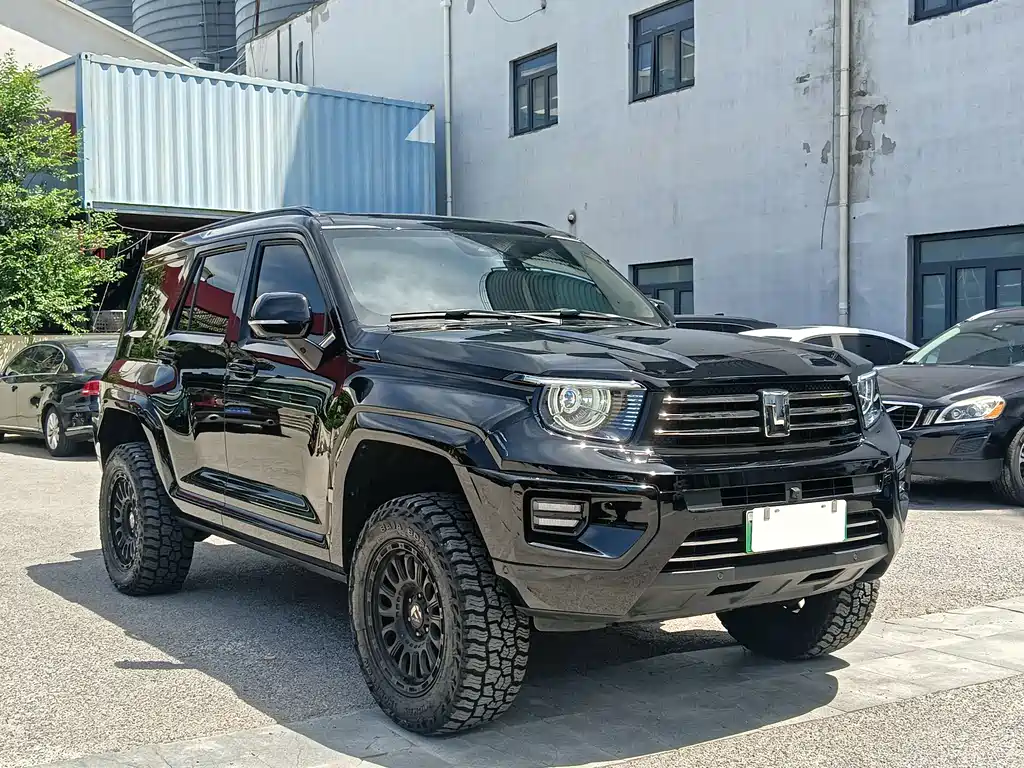 Tank 700 New Energy 2025