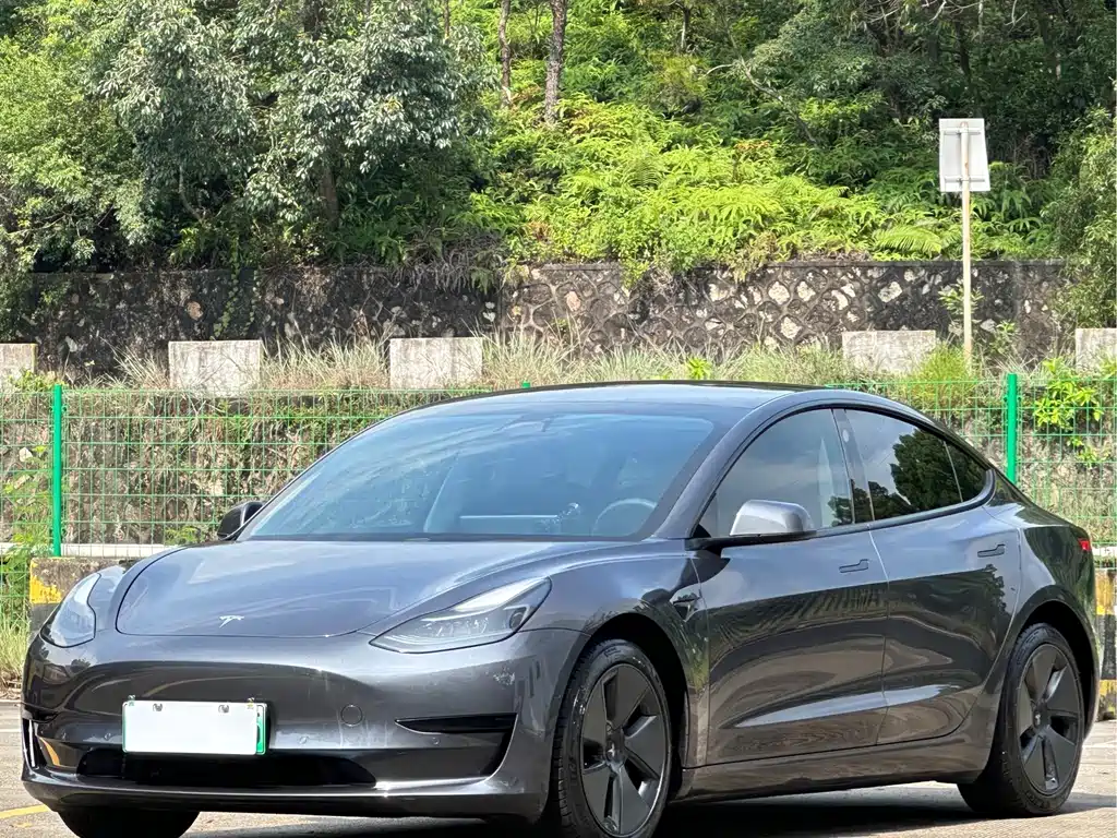 Tesla Model 3 2021 — фото 1