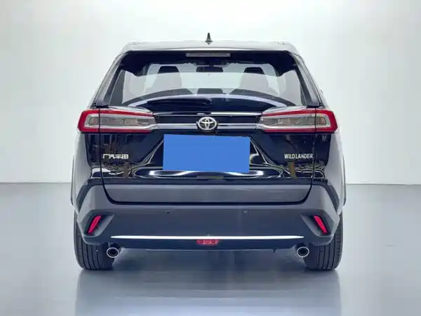 Toyota Wildlander 2020