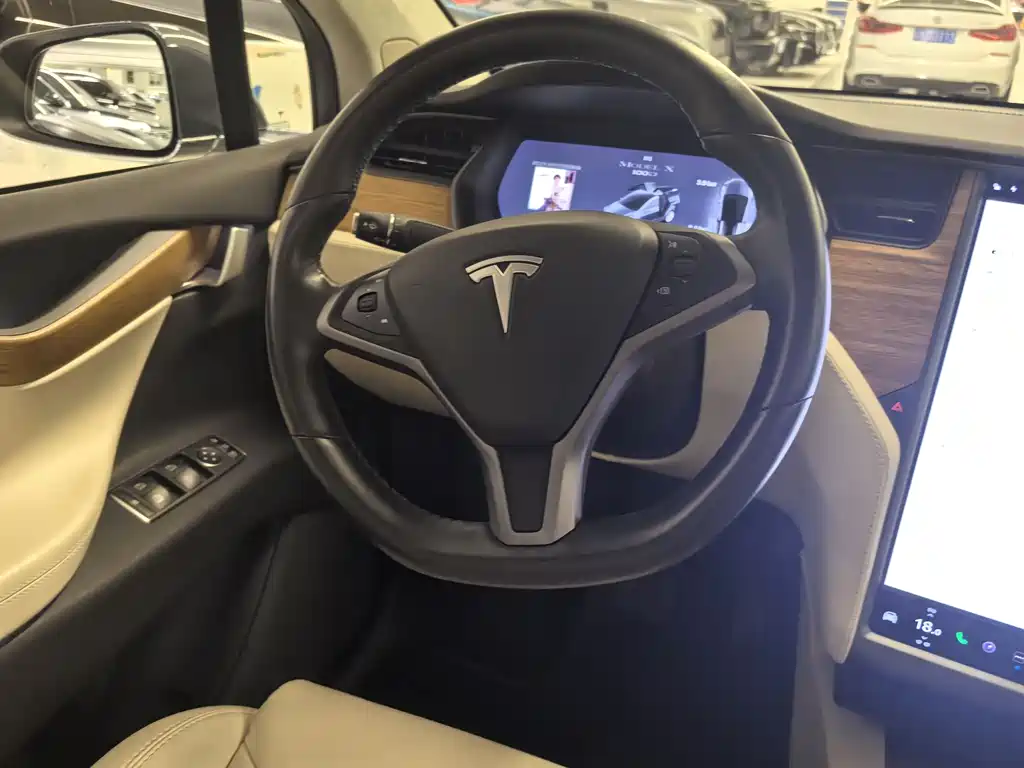 Tesla Model X 2019 — фото 10