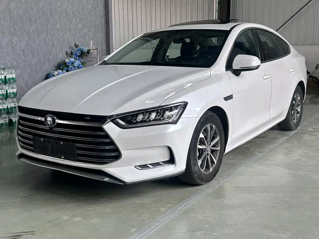 BYD Qin Pro New Energy 2019 — фото 1