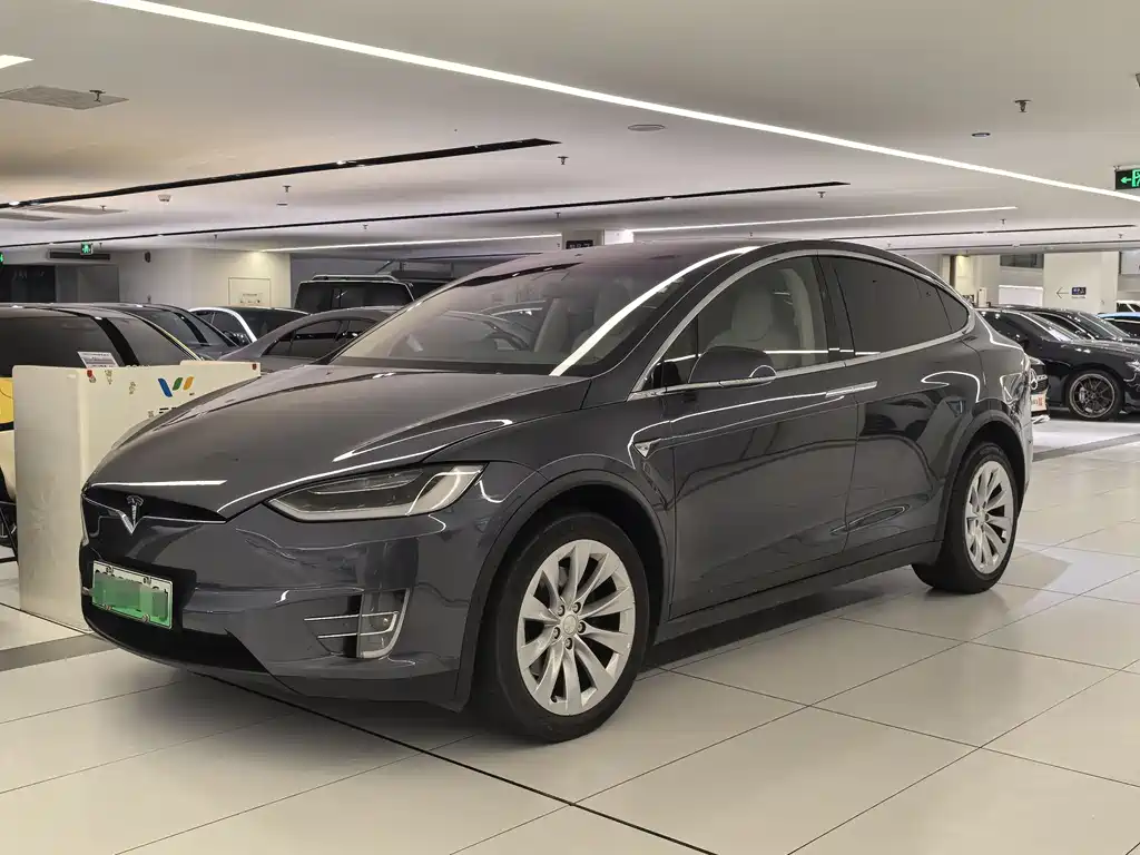 Tesla Model X 2019