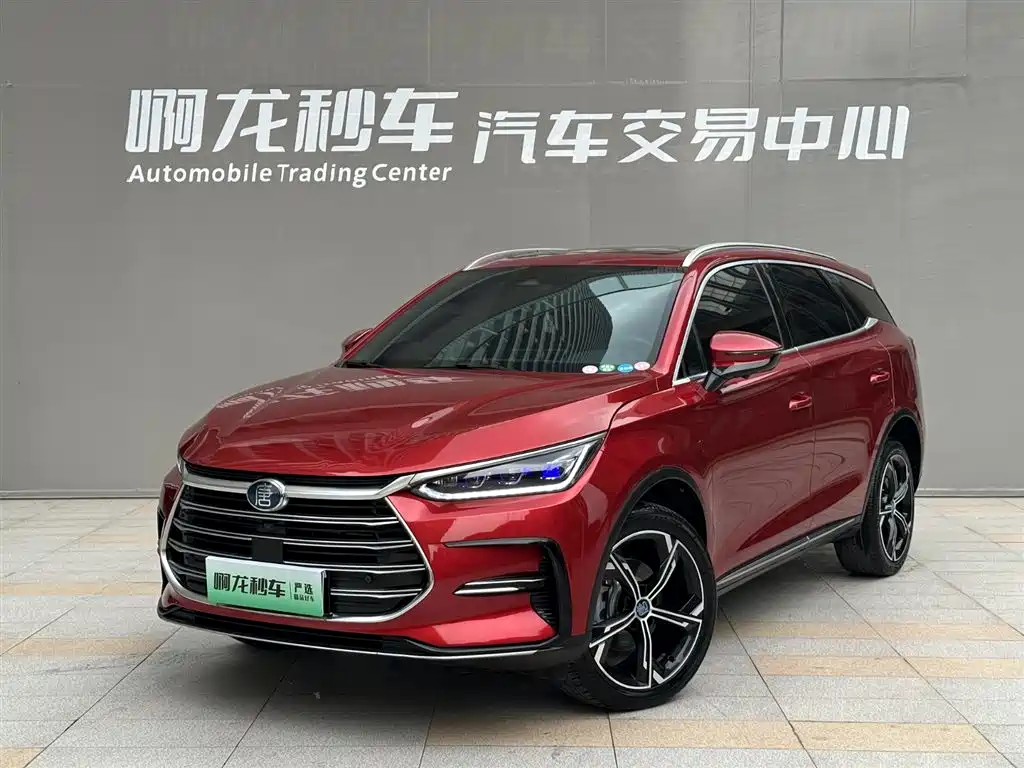 BYD Tang New Energy 2021 — фото 1