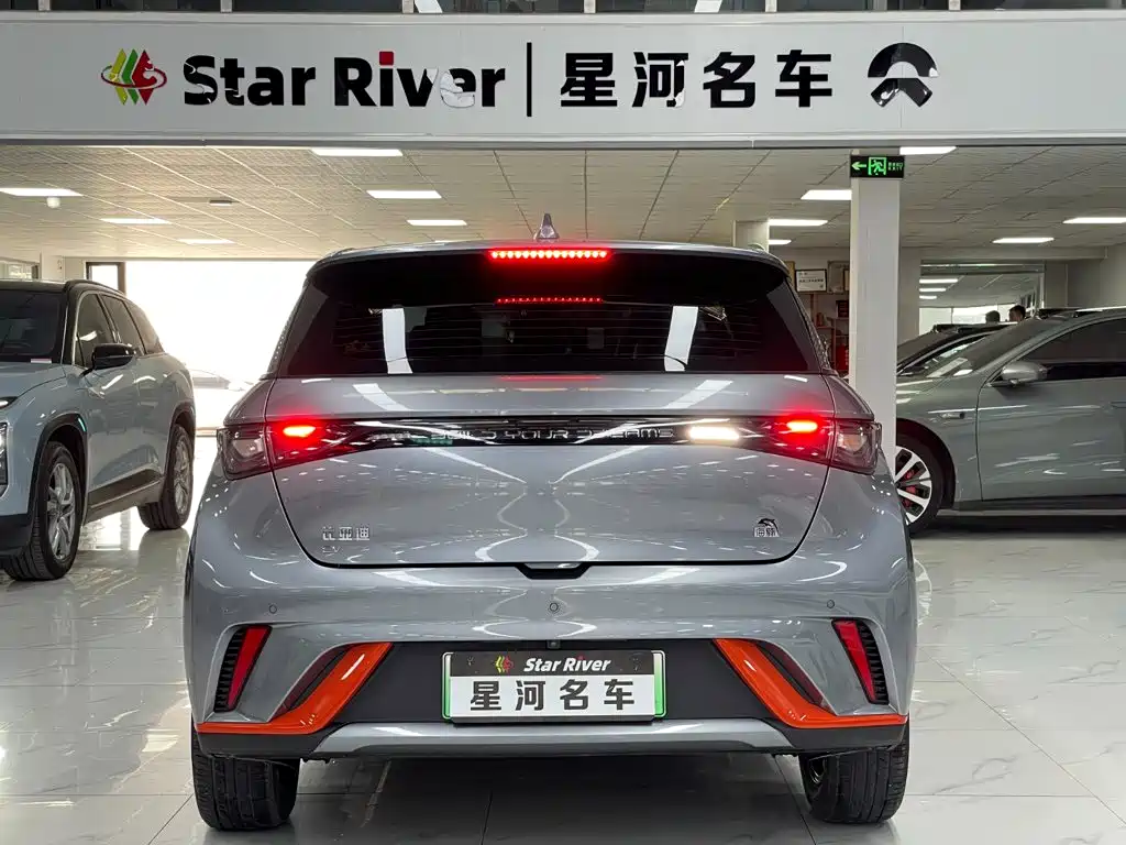BYD Dolphin 2022