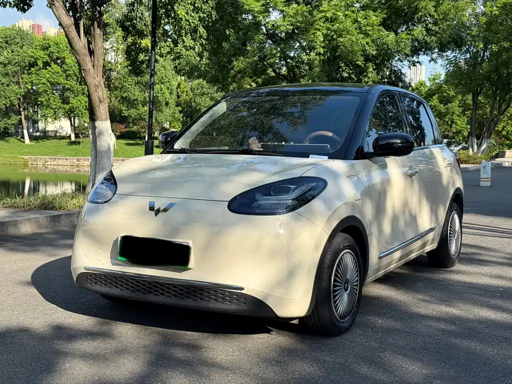 Wuling Bingo 2025