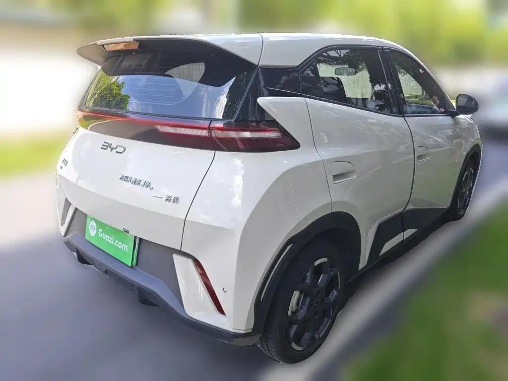 BYD Seagull 2024