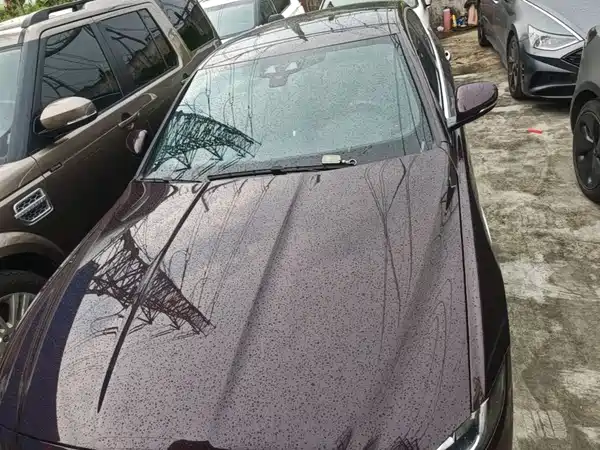 Jaguar XEL 2020