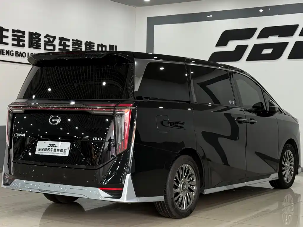 GAC Motor Trumpchi M8 2023 — фото 4