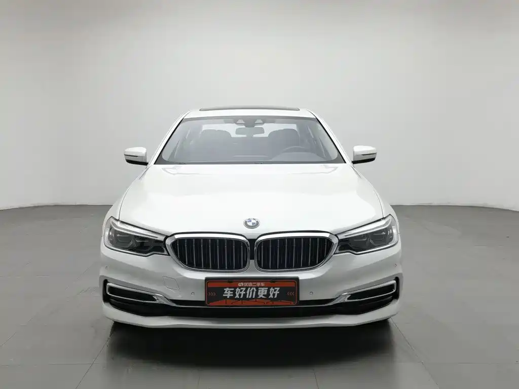 BMW 5 Series New Energy 2020