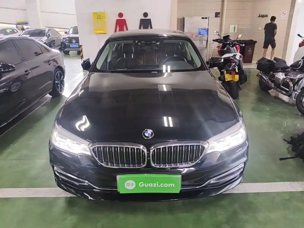 BMW 5 Series New Energy 2020