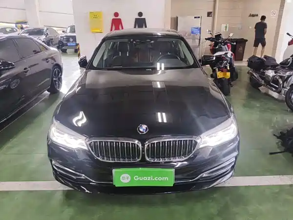 BMW 5 Series New Energy 2020