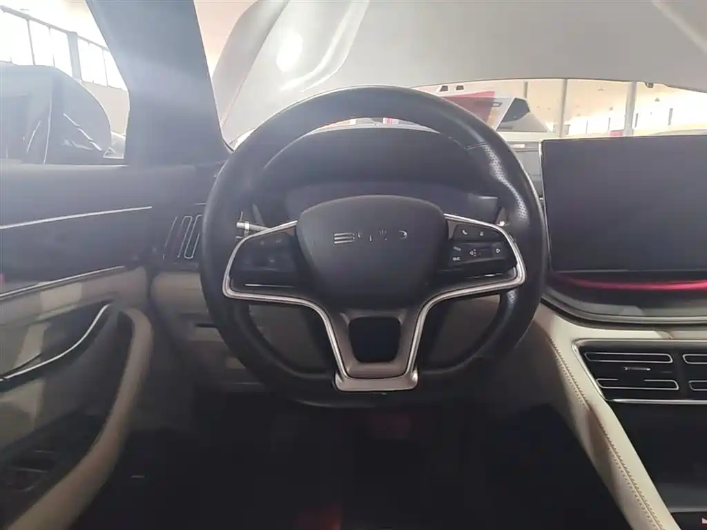 BYD PLUS New Energy 2024 — фото 11