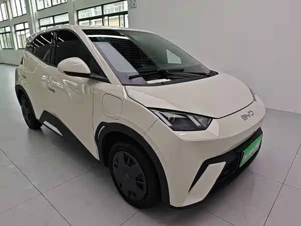 BYD Seagull 2024