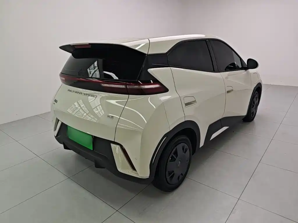BYD Seagull 2024