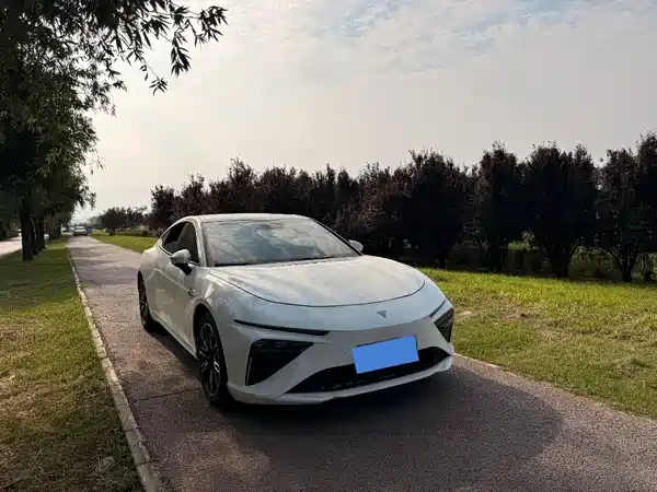 Neta S 2024