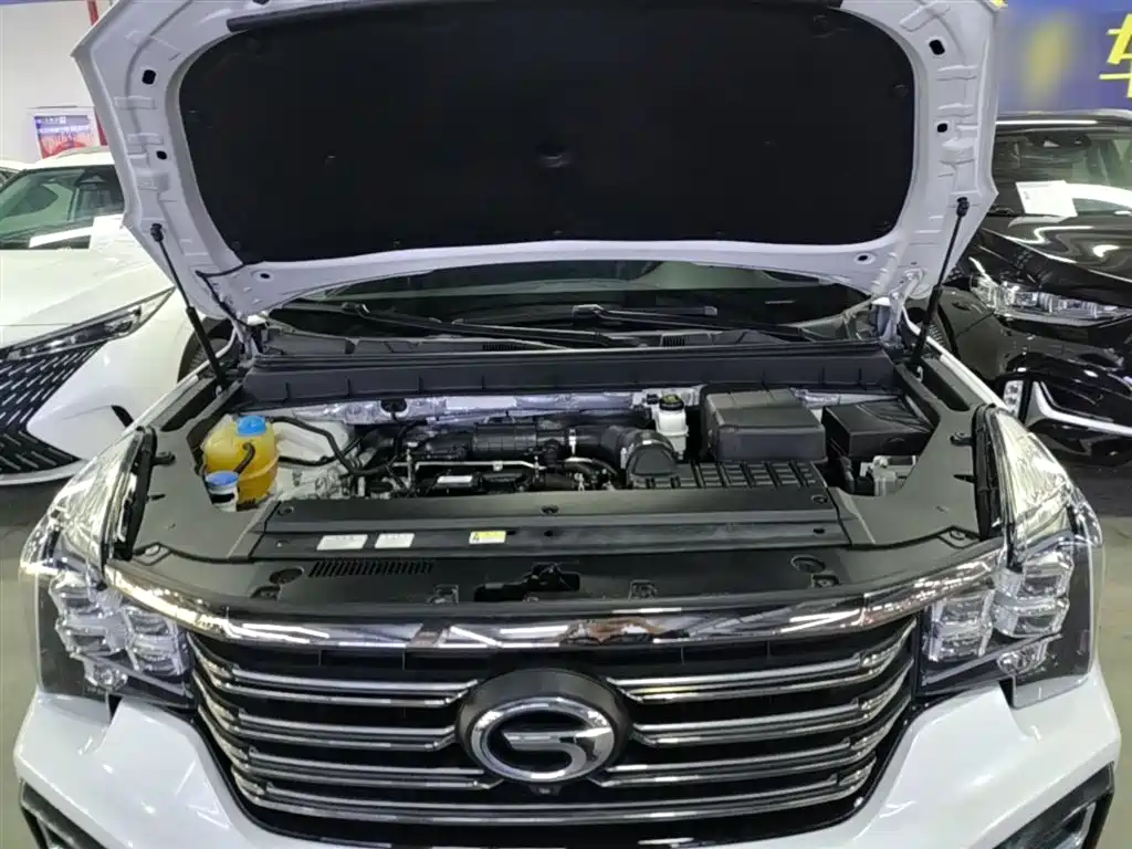 GAC Motor Trumpchi GS8 2020 — фото 20