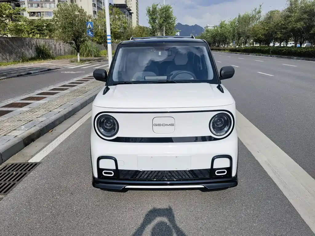 Geely Galaxy Panda 2025 — фото 2