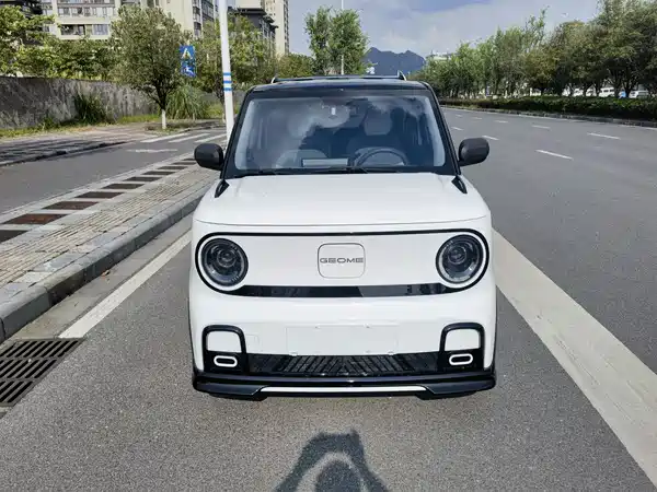 Geely Galaxy Panda 2025