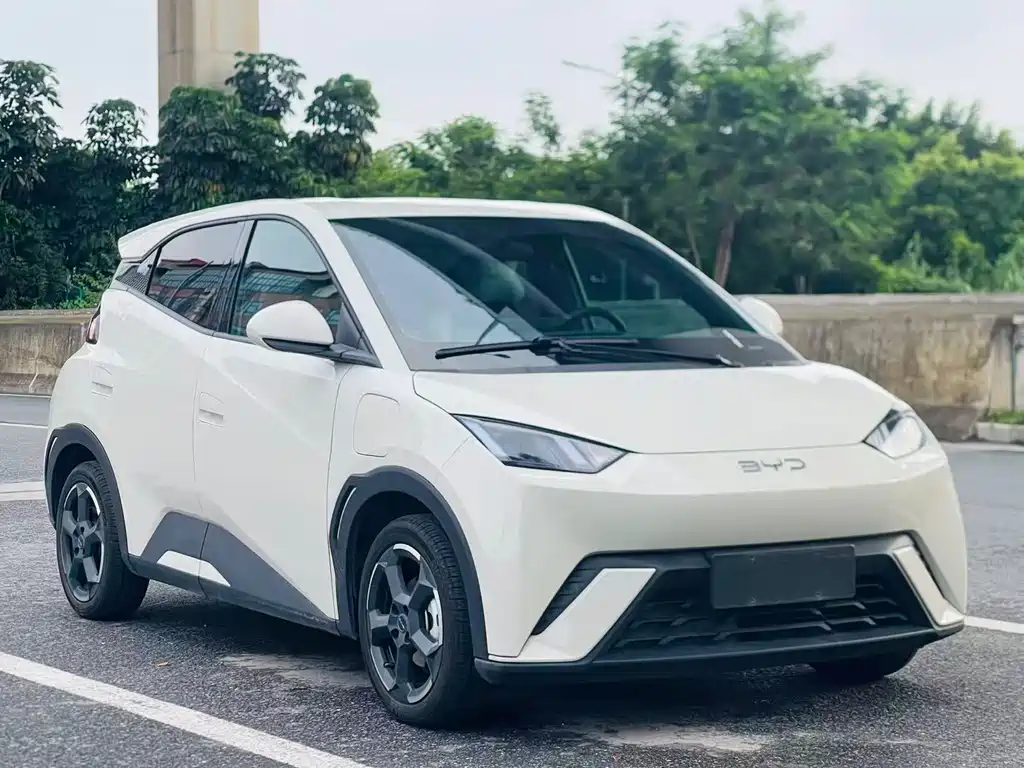 BYD Seagull 2024