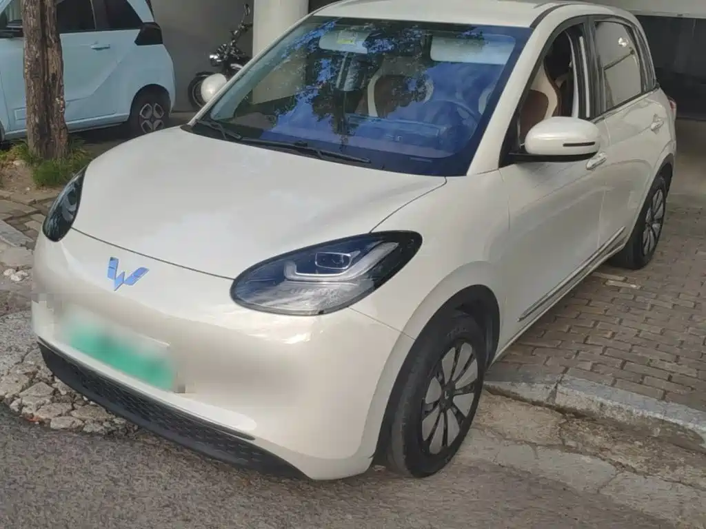 Wuling Bingo 2024