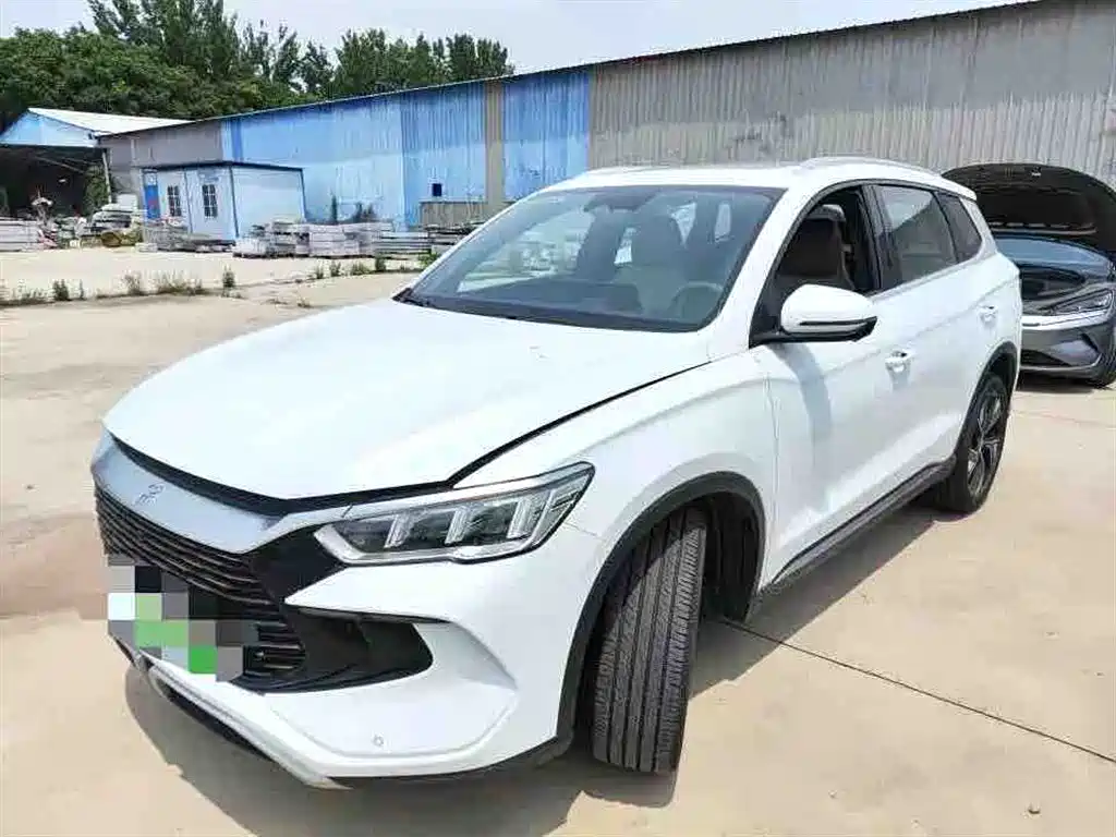 BYD Pro New Energy 2026