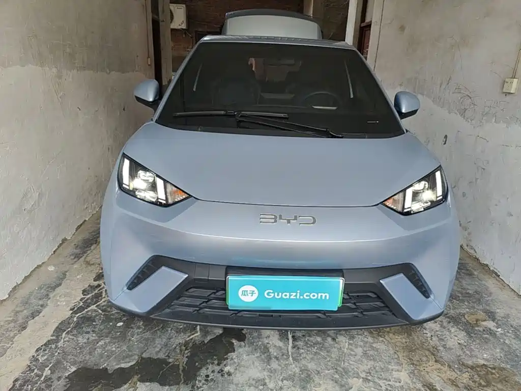 BYD Seagull 2024