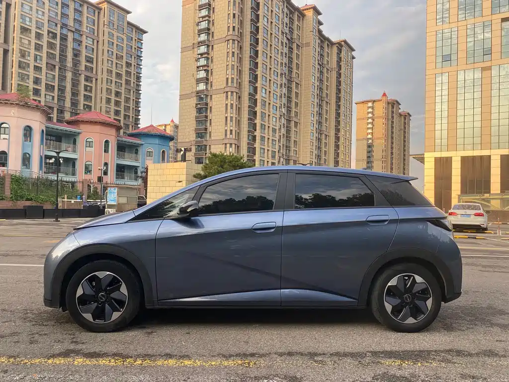 BYD Dolphin 2024