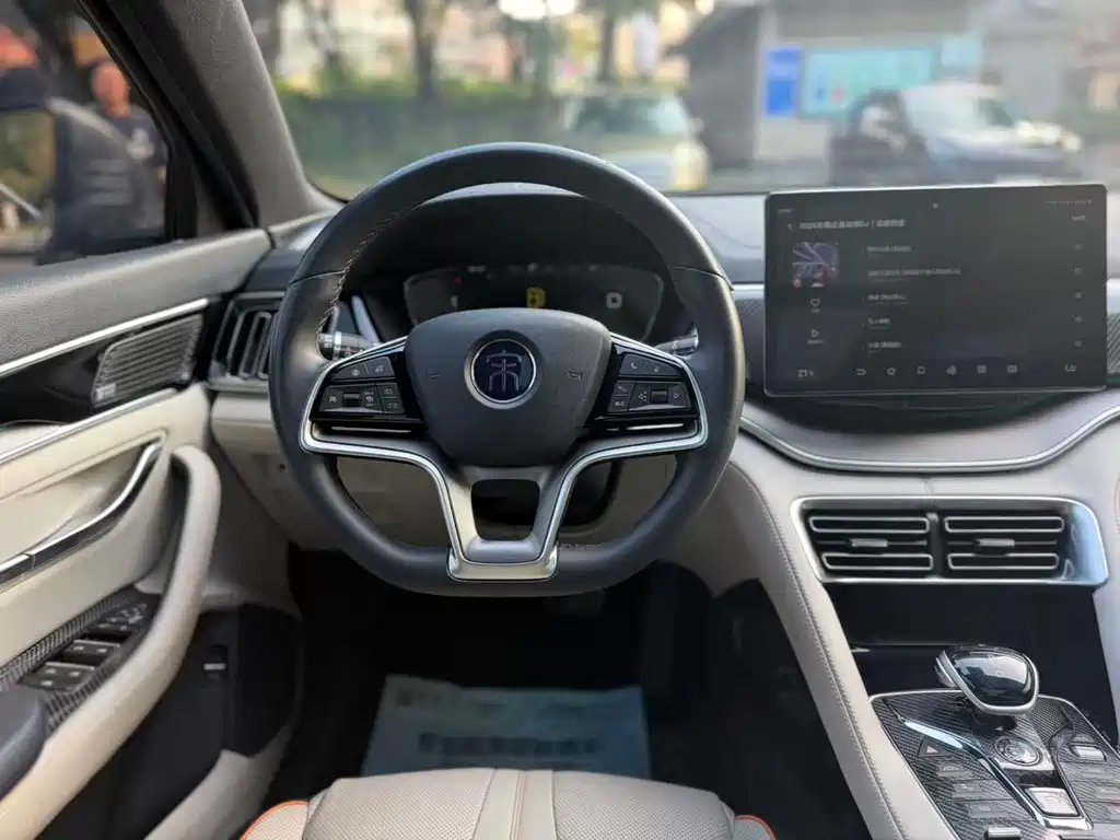 BYD PLUS New Energy 2022 — фото 13