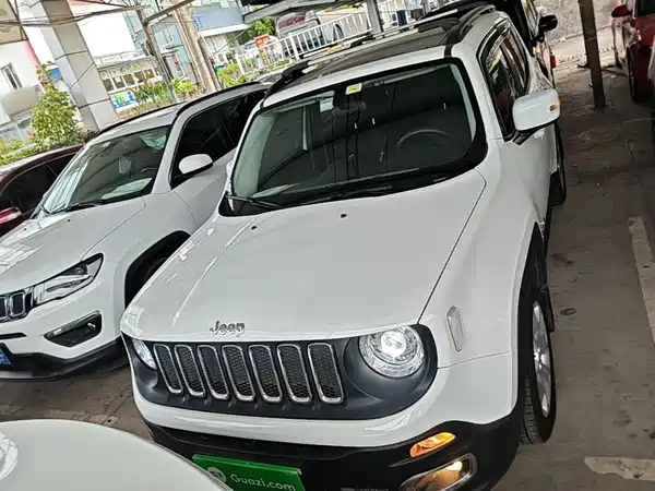 Jeep Freeman 2019