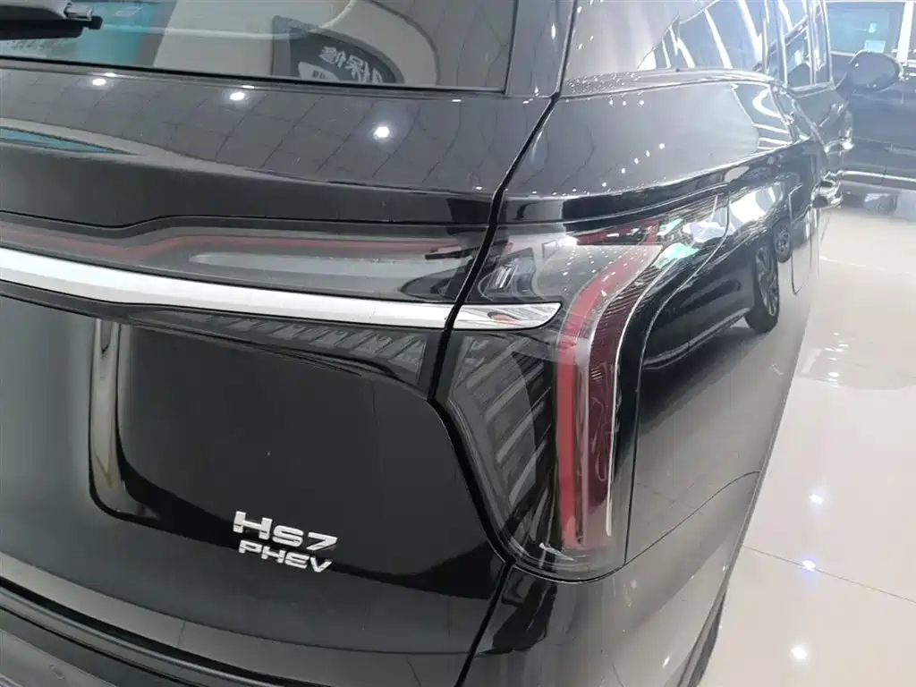 Hongqi HS7 PHEV 2024 — фото 8
