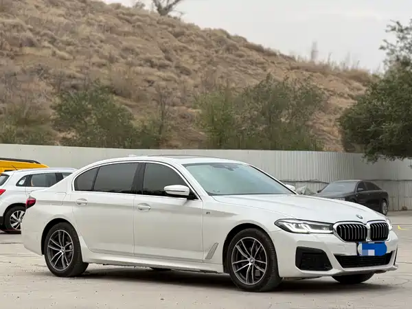 BMW 5 Series 2021