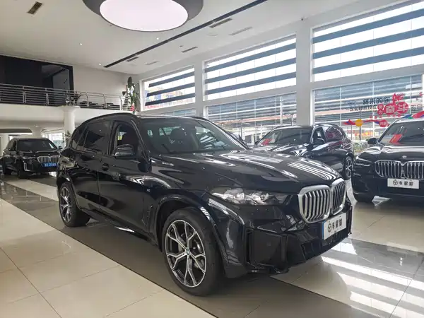 BMW X5 2024