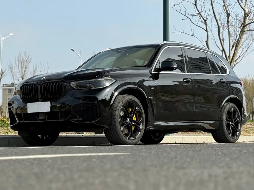 BMW X5 2022 — фото 2