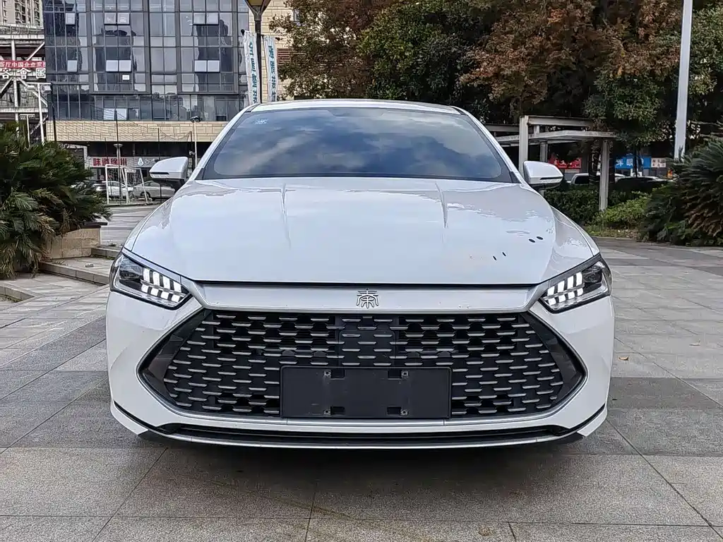 BYD Qin PLUS 2023 — фото 8