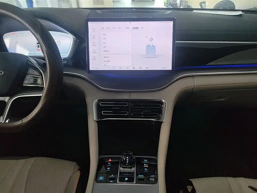BYD PLUS New Energy 2024 — фото 13