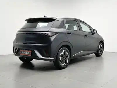 BYD Dolphin 2022
