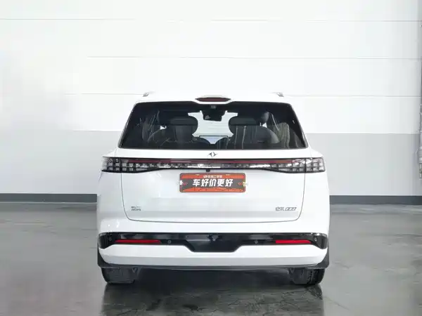Dongfeng e008 2024