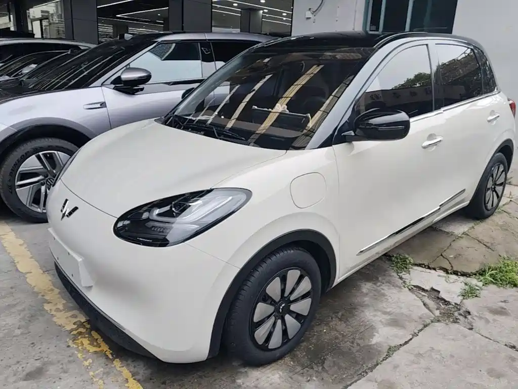 Wuling Bingo 2024