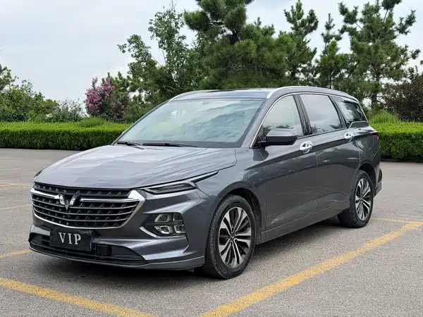 Wuling Victory 2021