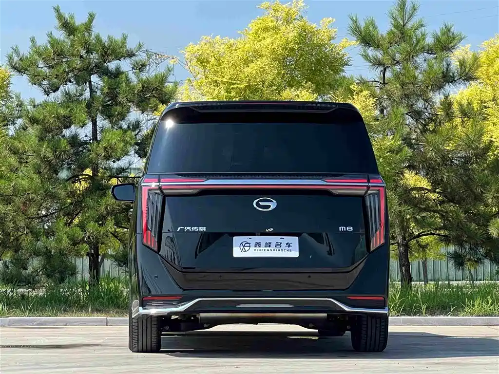 GAC Trumpchi M8 2025 — фото 26